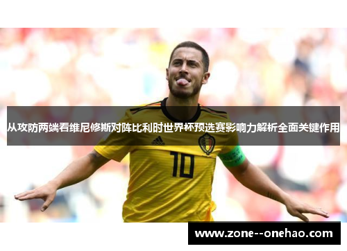 从攻防两端看维尼修斯对阵比利时世界杯预选赛影响力解析全面关键作用